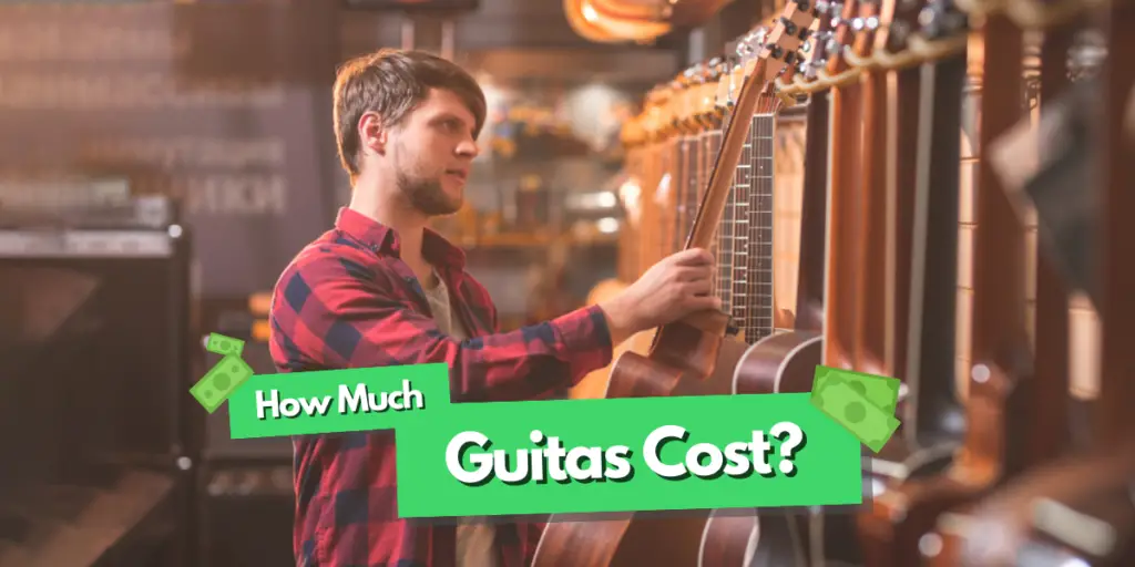 how much guitars cost